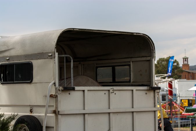 Horse in Trailer outside of Queanbeyan Rodeo