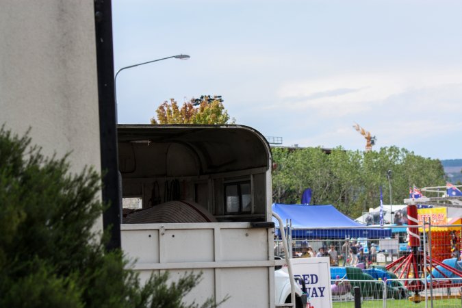 Horse in Trailer outside of Queanbeyan Rodeo