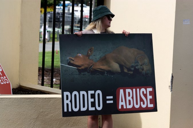 Protest outside of Queanbeyan Rodeo
