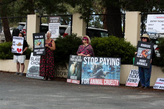 Protest outside of Queanbeyan Rodeo