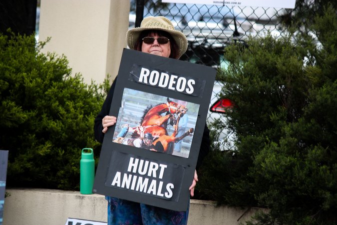 Protest outside of Queanbeyan Rodeo