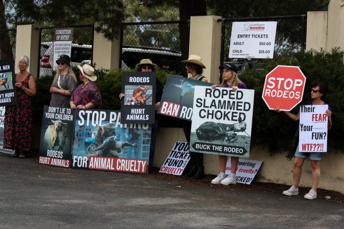 Protest outside of Queanbeyan Rodeo