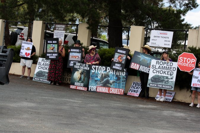 Protest outside of Queanbeyan Rodeo
