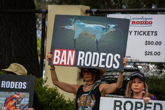 Protest outside of Queanbeyan Rodeo