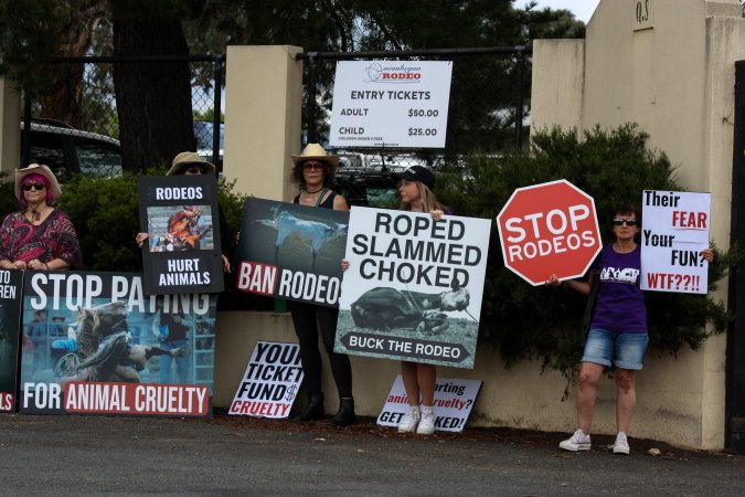 Protest outside of Queanbeyan Rodeo