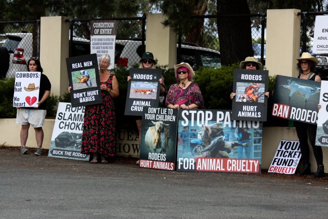 Protest outside of Queanbeyan Rodeo