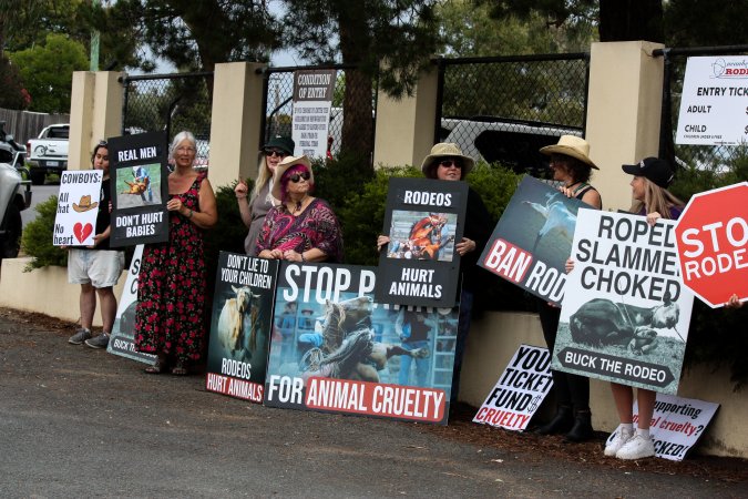 Protest outside of Queanbeyan Rodeo