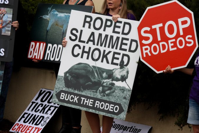 Protest outside of Queanbeyan Rodeo