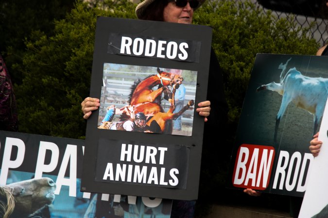 Protest outside of Queanbeyan Rodeo