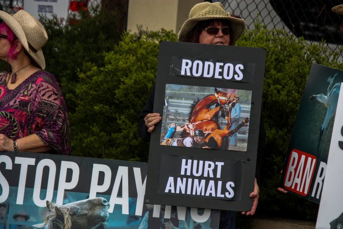 Protest outside of Queanbeyan Rodeo