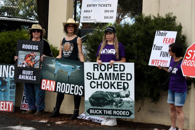 Protest outside of Queanbeyan Rodeo