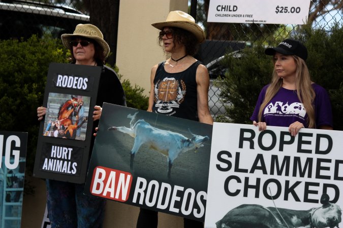 Protest outside of Queanbeyan Rodeo