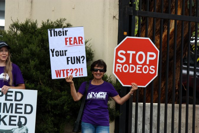 Protest outside of Queanbeyan Rodeo