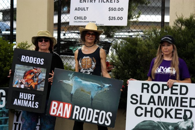 Protest outside of Queanbeyan Rodeo