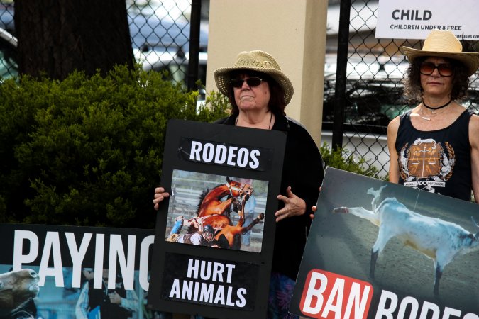 Protest outside of Queanbeyan Rodeo