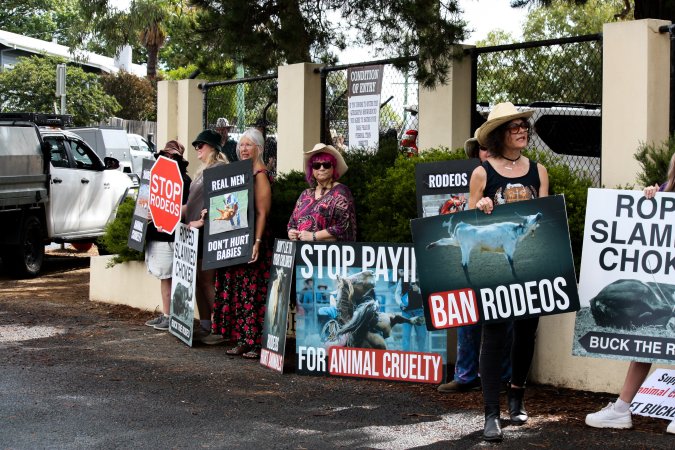 Protest outside of Queanbeyan Rodeo