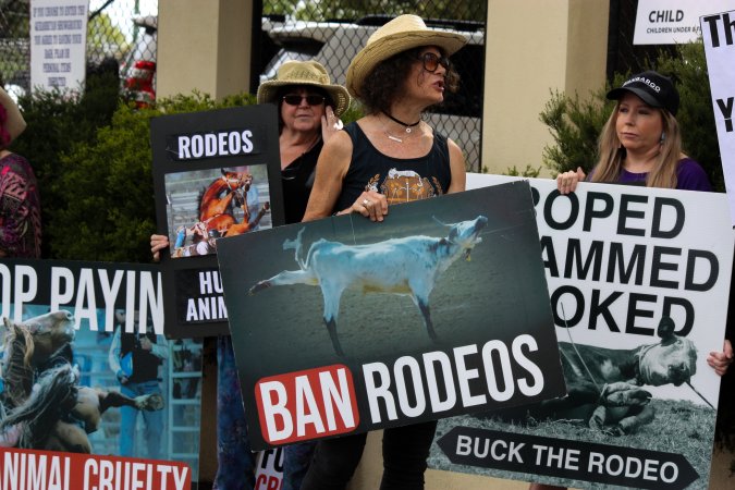 Protest outside of Queanbeyan Rodeo