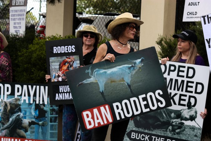 Protest outside of Queanbeyan Rodeo