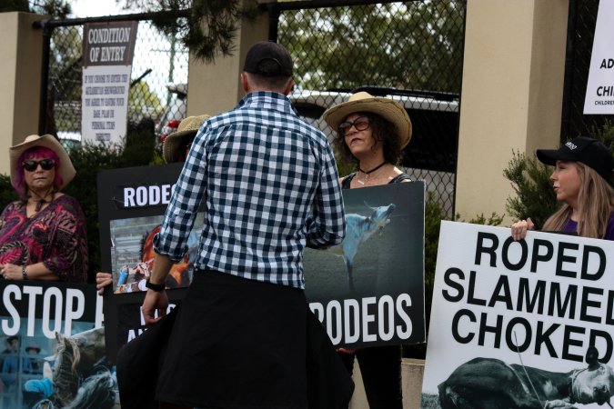 Rodeo-Goers interact with Protest outside of Queanbeyan Rodeo
