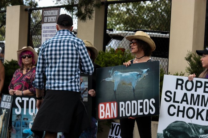 Rodeo-Goers interact with Protest outside of Queanbeyan Rodeo