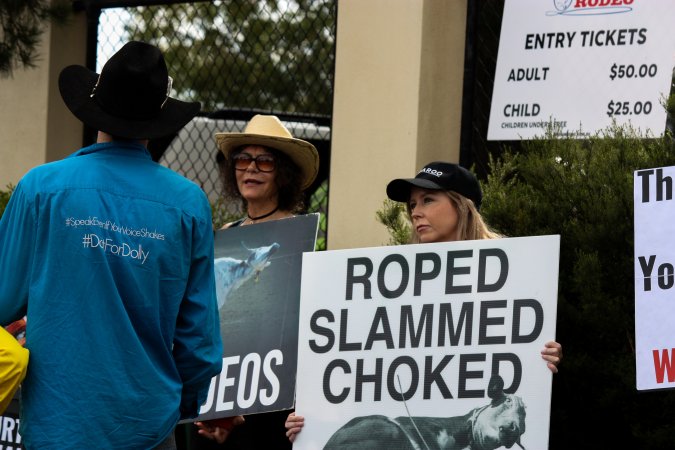 Rodeo-Goers interact with Protest outside of Queanbeyan Rodeo