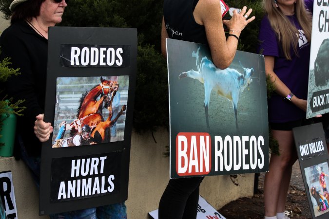 Protest outside of Queanbeyan Rodeo