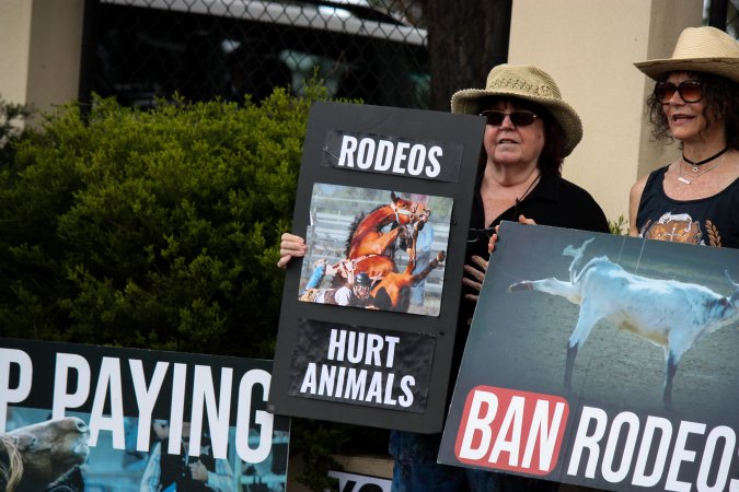 Protest outside of Queanbeyan Rodeo