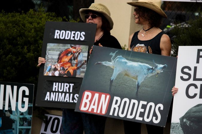 Protest outside of Queanbeyan Rodeo