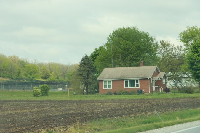 Pheasant Farm