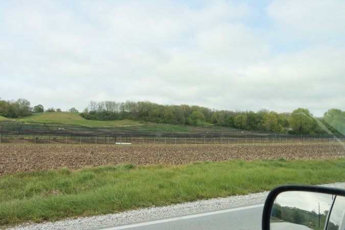 Pheasant Farm