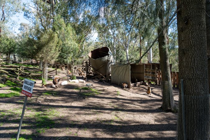 Wallaby refuge area