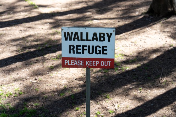 Wallaby refuge area