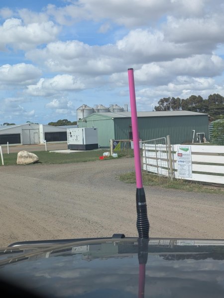 Signage (RSPCA check in)