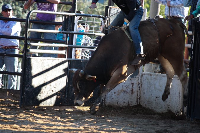 Bucking Bulls Australia Event