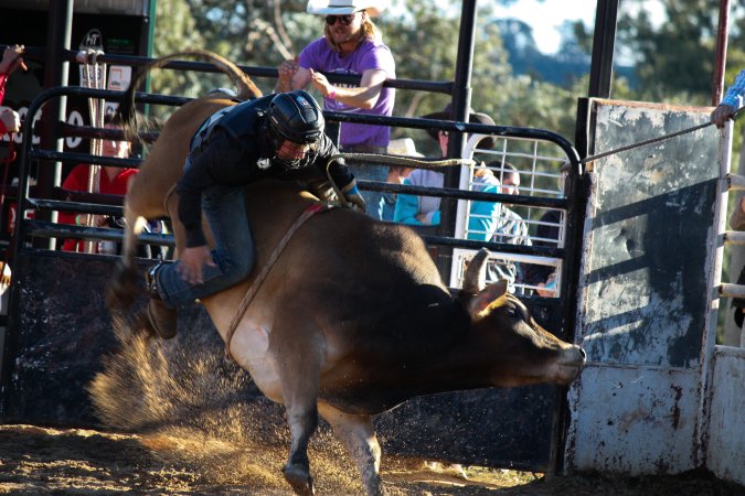 Bucking Bulls Australia Event
