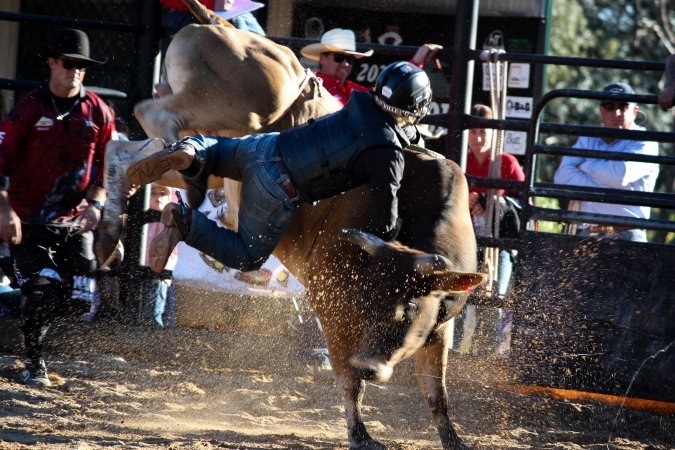 Bucking Bulls Australia Event