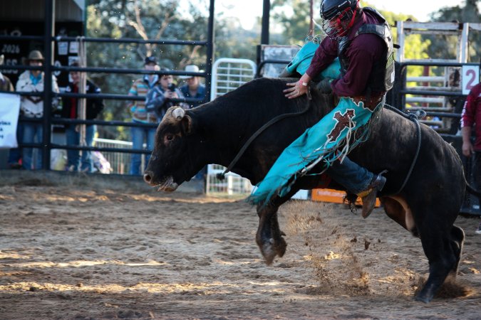 Bucking Bulls Australia Event