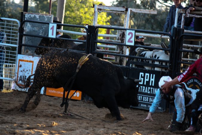 Bucking Bulls Australia Event