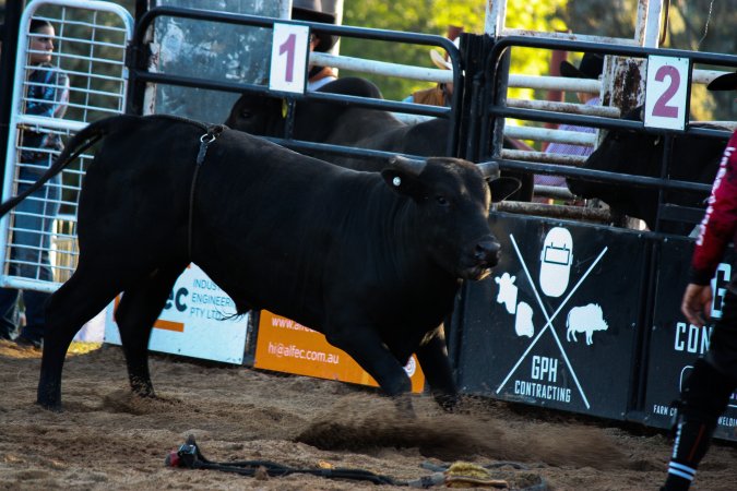 Bucking Bulls Australia Event