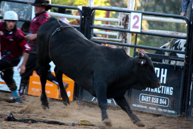 Bucking Bulls Australia Event