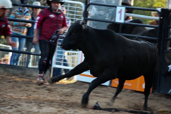 Bucking Bulls Australia Event