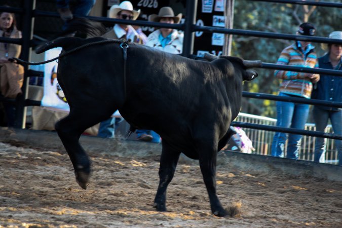 Bucking Bulls Australia Event