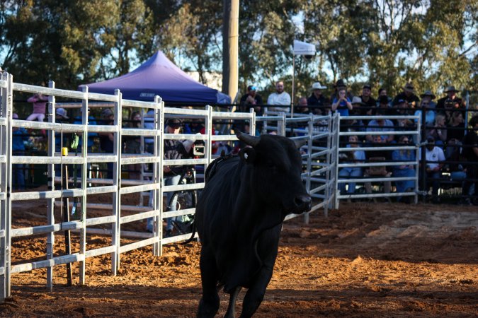 Bucking Bulls Australia Event