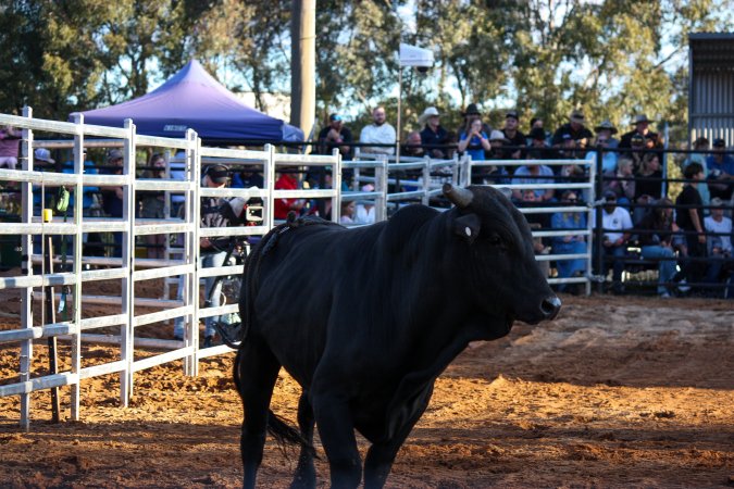 Bucking Bulls Australia Event