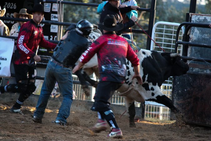Bucking Bulls Australia Event
