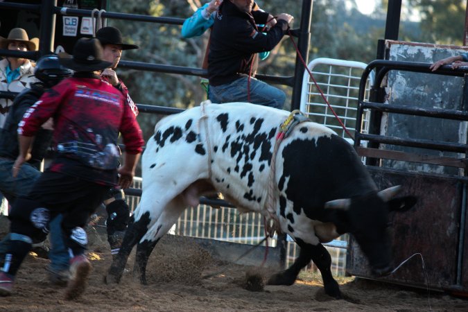 Bucking Bulls Australia Event