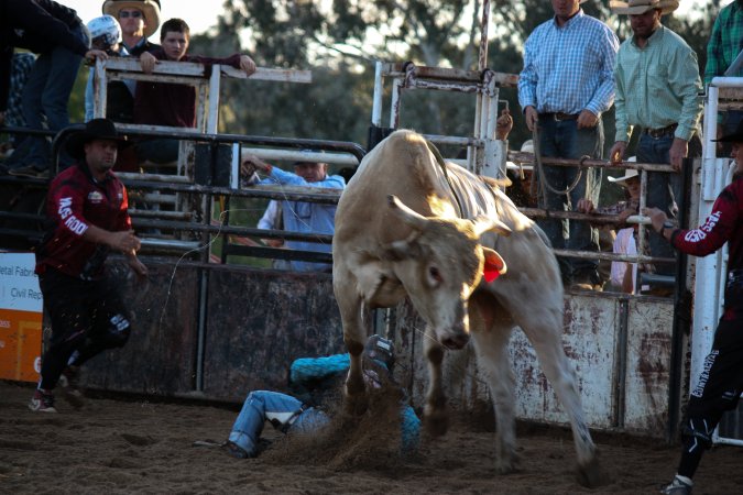 Bucking Bulls Australia Event