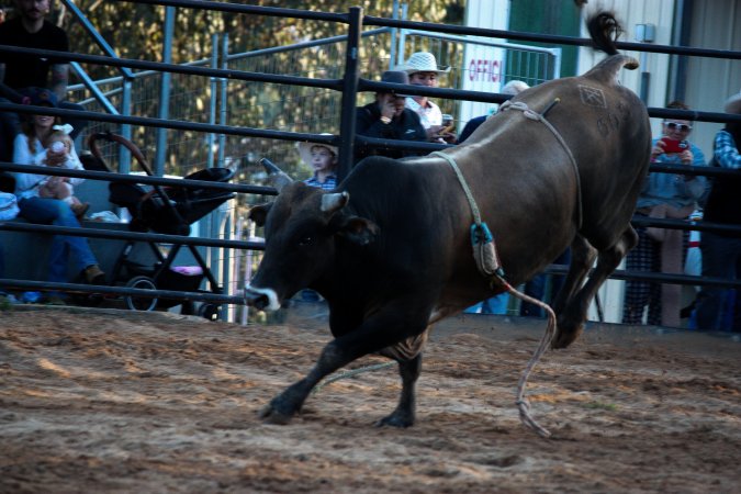 Bucking Bulls Australia Event