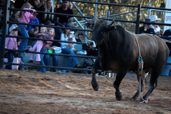 Bucking Bulls Australia Event
