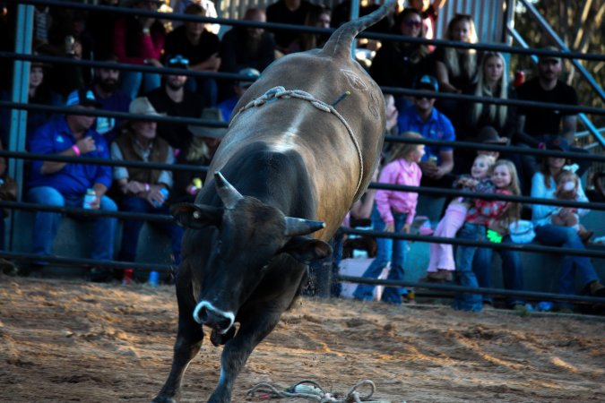 Bucking Bulls Australia Event